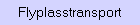 Flyplasstransport